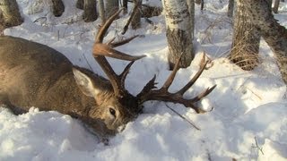 Deer Hunting 2012 170 Monster Buck while pushing bush [upl. by Zehc]