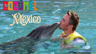 Cozumel Mexico  Swimming with Dolphins amp Stingrays [upl. by Leitao]