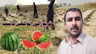 Watermelon cultivation  Tarboz Ki Kasht Kesy Karen  Javeed Bhai official [upl. by Notnerb]