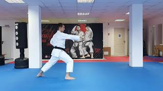 JKA Kihon Examination  3rd KYU  Brown Belt [upl. by Allenotna]