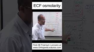 ECF osmolarity shortvideo shorts drnajeeb drnajeeblectures [upl. by Ikeda]