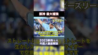 【最大補強】2023年阪神、外国人選手【ビーズリー】＃shorts＃阪神タイガース＃阪神＃プロ野球＃野球＃ビーズリー [upl. by Tesler]