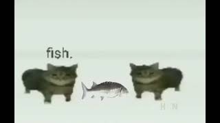 this is a fish meme [upl. by Iosep]