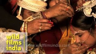 Sindoor daan  a post Bengali wedding rituals [upl. by Eneroc]