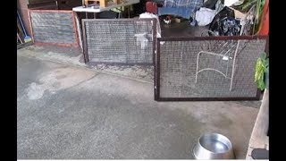 Build a folding pet gate [upl. by Etsyrk]