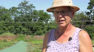 Intensive Composting at Potomac Vegetable Farms [upl. by Pinsky]