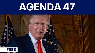 Trumps quotAgenda 47quot calls for sweeping changes to federal workforce [upl. by Leber]