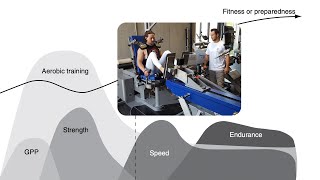 Trainingsplanung II Anforderungsprofil Leistungsdiagnostik amp Transfer  Kraftraum Podcast 215 [upl. by Bernt265]