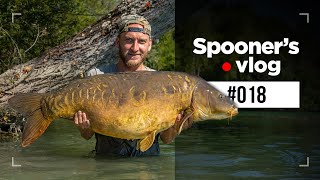 GIGANTICA Carp Fishing Social with Tom Dove and Friends  Spooners Vlog [upl. by Valenka]