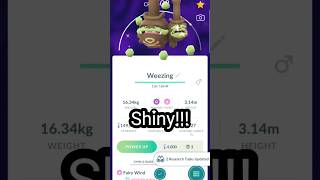 Limitedtime Guaranteed Shiny Galarian Weezing in Pokémon Go pokemongogaming [upl. by Shelby]