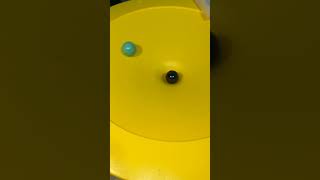 🐢🐢🟢⚪️ Reverse Motion Marbles Haba Funnel Jungle Marble Run ASMR chrome oddlysatisfying fyp 🐢🐢⚪️🟢 [upl. by Wampler]