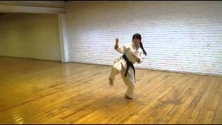 Heian Shodan  Keri No Kata [upl. by Namreh]