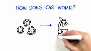 Chorionic Villus Sampling CVS [upl. by Aniahs70]