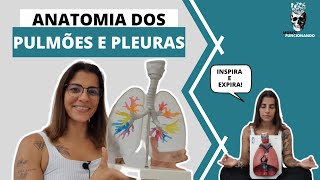 ANATOMIA DOS PULMÕES E PLEURAS  VIAS AÉREAS INFERIORES 6 [upl. by Handel]