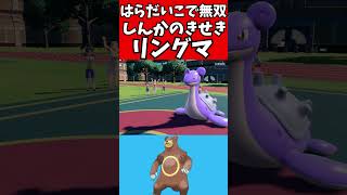 【マイナーポケモン解説】ガチグマ以上の攻撃を誇る！？きせきのリングマ [upl. by Enitsud]