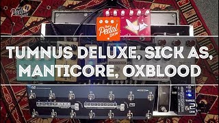 That Pedal Show – Beyond The Klon Centaur Tumnus Deluxe Oxblood Manticore and Sick As Overdrives [upl. by Moynahan]