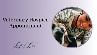 Veterinary Hospice Appointment [upl. by Dnob]