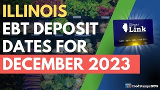 Illinois Food Stamp Deposit Dates for December 2023 [upl. by Ynagoham]