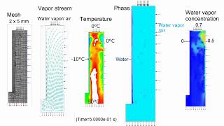 CFD Film Condensation Simultaneous Heat and Mass Transfer Model [upl. by Elleinet]