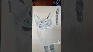 Pyewacket the Cat catartist felineart catdrawing art catillustration catsketch catart [upl. by Crofton22]