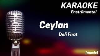 Karaoke Ceylan Deli Fırat [upl. by Nagaem]