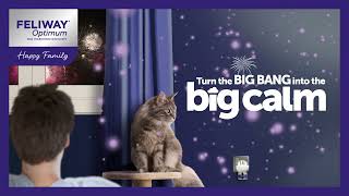 Is your cat scared of fireworks or loud noises FELIWAY Optimum helps all cats feel more comfortable [upl. by Airetal]