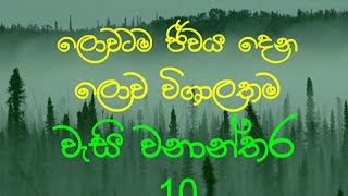 ලොවටම ජිවය දේන වීශාලම වැසි වනාන්තර 10 ය 10 Biggest Rainforests in the World [upl. by Kired]