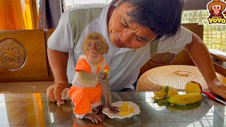 The process of monkey YiYi helps grandpa go to the market to buy food [upl. by Leonerd214]