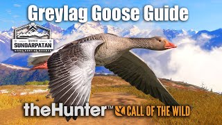 Greylag Goose Guide  Sundarpatan Nepal  theHunter Call of the wild [upl. by Oryaj]