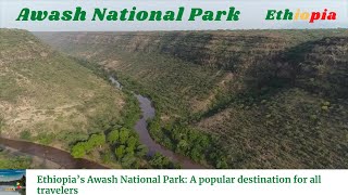 Ethiopia’s Awash National Park A popular destination for all travelers  Amazing Ethiopia [upl. by Ogait]