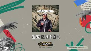 TpZee feat King JS amp Plugman  Umshini Official Audio [upl. by Eila799]