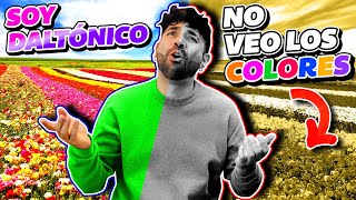 SOY DALTONICO NO VEO LOS COLORES ASÍ VEO EL MUNDO [upl. by Ediva]