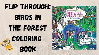 Birds in the Forest Coloring Book Flip Through  Illustrated by Denyse Klette [upl. by Raynah]