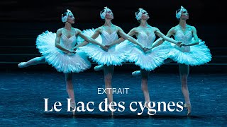 EXTRAIT LE LAC DES CYGNES by Rudolf Noureev  Pas de quatre [upl. by Zipporah]