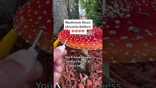 Modern Biology  Amanita mushroom music pt 4 🍄 The long version mushroom plants synth amanita [upl. by Walston238]