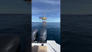 shorts fishing ocean outdoors offshore boat [upl. by Aynatahs]