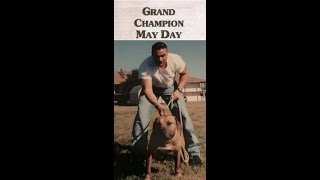 Victor Aycart  Article on Grand Champion Mayday [upl. by Ramon]