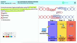 Biotechnology Processes Tools of Recombinant DNA Technology Study Guide for Q57 NEET 2021 Zoology [upl. by Damon]