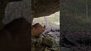 DEADHEAD found out Bankhead National Forest publiclandhunting [upl. by Aerb]