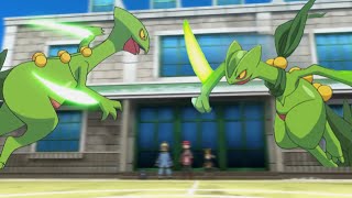 Ashs Sceptile Vs Sawyers Sceptile  Comparison video [upl. by Gentille708]