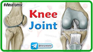 Knee Joint Anatomy Animation  Bones Ligaments Menisci Innervation Blood supply and Movements [upl. by Meijer]