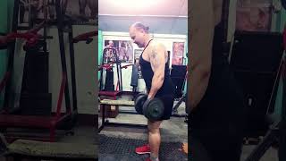 Dumbbell stiff leg deadlifts stiff leg deadlifts [upl. by Wun42]