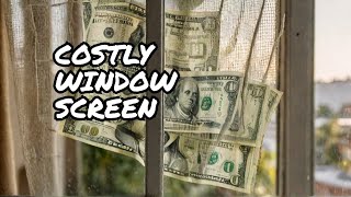 Is Your OLD WINDOW SCREEN Costing You Money [upl. by Lean]