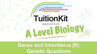 Genes and Inheritance 6 Genetic Questions High band Biology [upl. by Narad]