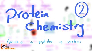 protein Chemistry part 2  Moaz Wahdan [upl. by Rubenstein]