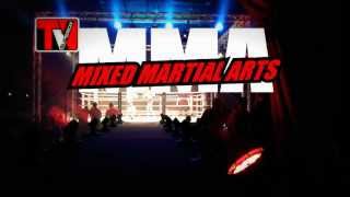 MMA  Superior FC Tournament 2012  Part IV  Arena Kreis Düren  15 September [upl. by Marigold632]