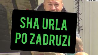 SHA URLA PO ZADRUZI MIONA SKOCILA  MIONA ZELI OVOG MUSKARCA SHA BESAN [upl. by Hselin]