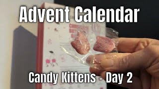 Advent Calendar  Candy Kittens  Day 2 [upl. by Acacia]