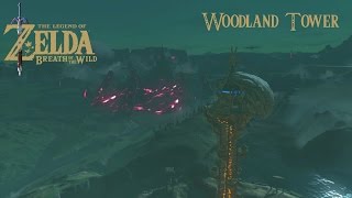 Zelda BoTW Woodland Tower [upl. by Imot]