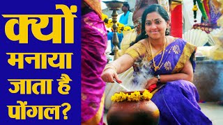 Pongal 2019 Importance of Festival  जानें क्‍यों मनाया जाता है पोंगल  Boldsky [upl. by Odrareg262]